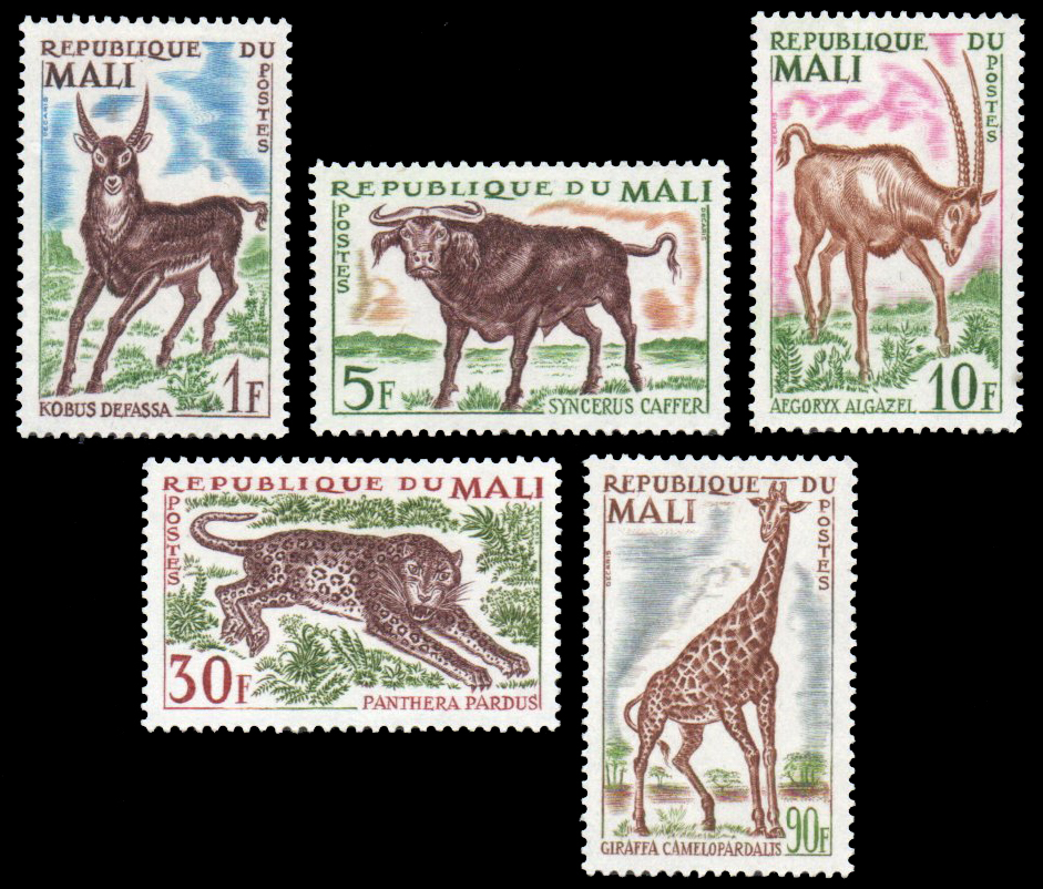1965 Animals
