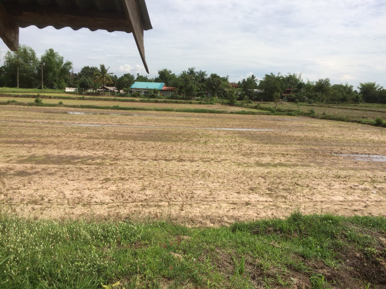 ขายที่ดินสวยราคาถูกที่สุด อ.หนองหาน จ.อุดรธานี ห่างจาก อบต.สร้อยพร้าว 2.4 กม.