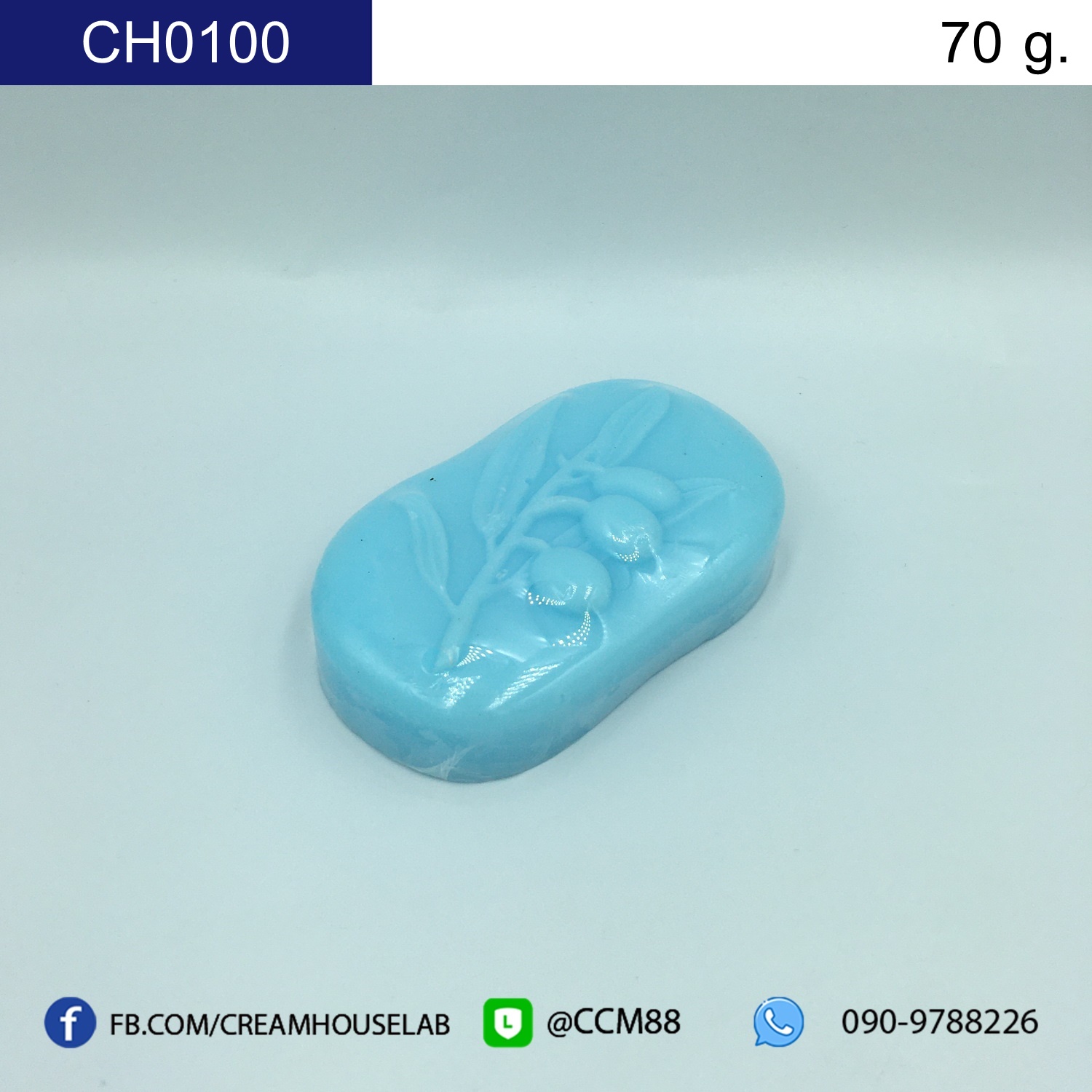 รหัส CH0100