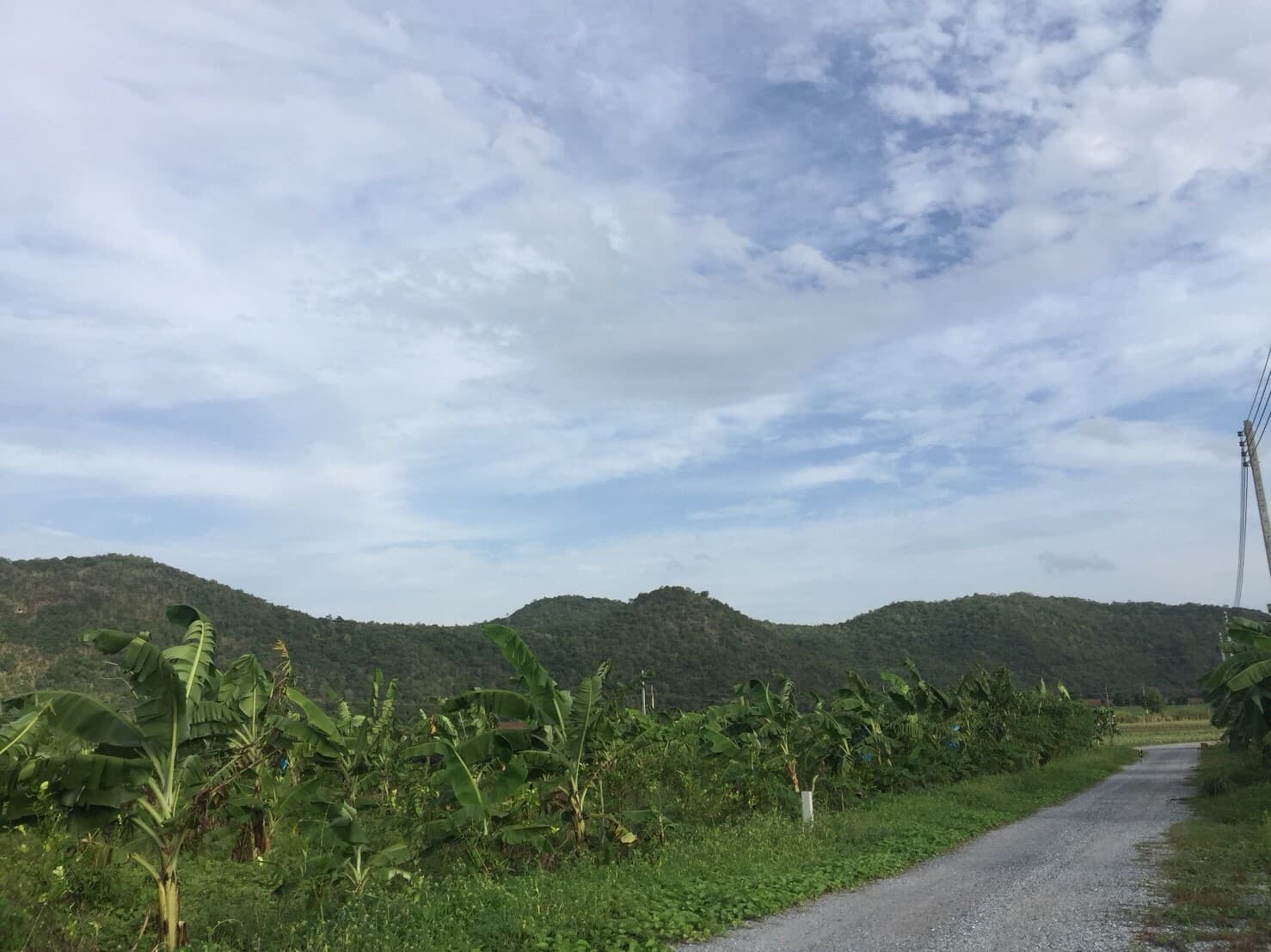 ขายที่ดินจัดสรรค์สวยราคาถูกติดถนน 3 ด้านห่างทุ่งดินดำรีสอร์ท 548 เมตร ใกล้อบต. เลาขวัญ 2.8 กม. รพ.เลาขวัญ4.8กม.อ.อู่ทอง จ.สุพรรณบุรี