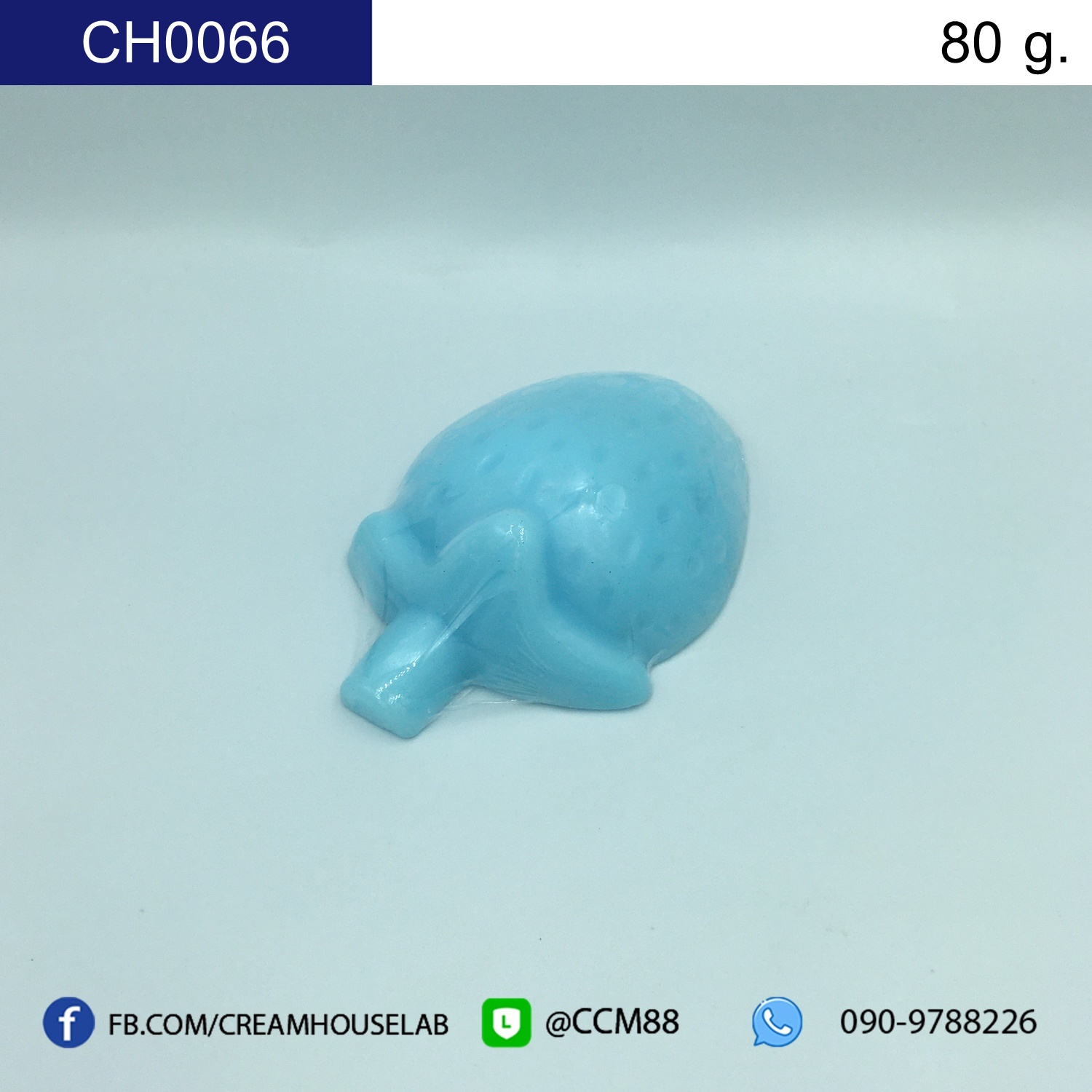 CH0066