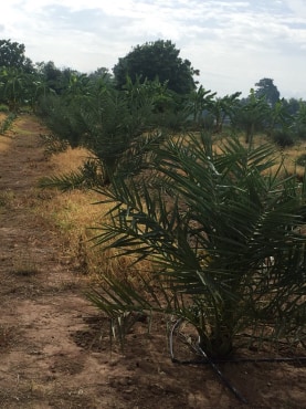 ขายบ้านพร้อมที่ดินราคาถูกติดถนนใหญ่หมายเลข (3468) ห่างจาก อบต.บ้านโข้ง 876 เมตร