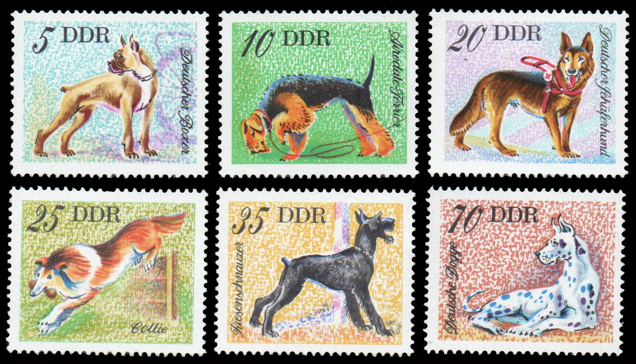 1976 Dogs