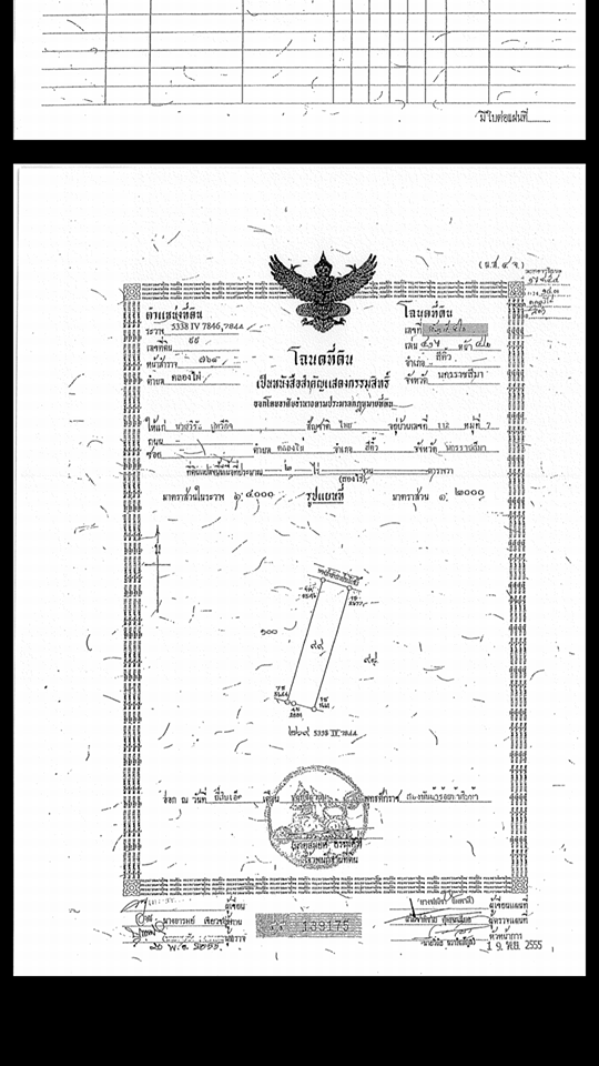 ขายที่ดินสวยราคาถูกห่างจากสำนักงานเทศบาลคลองไผ่ 1.65 กม. อ.สีคิ้วจ.นครราชสีมา 4 ไร่การเดินทางสะดวกสบาย
