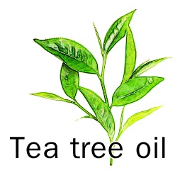 TEA TREE OIL น้ำมันหอมระเหย ที ทรี ออย