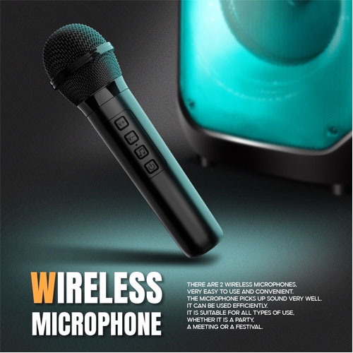 BEAT SAAG SPEAKER BLUETOOTH +MIC*1/40W SP-SA-20-BEAT1