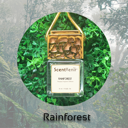 น้ำหอมแขวน ห้อยในรถ ตู้เสื้อผ้า ห้องนอน ห้องครัว กลิ่น เรนฟอเรสท์ Rainforrest สัมผัสกับกลิ่นของสายฝนในป่าเขียว หอมสดชื่น ชุ่มชื้น อโรม่า สูตรเฉพาะพิเศษด้วยน้ำมันหอมระเหยแท้ผสมกับหัวน้ำหอมเกรดสูง ใช้นานถึง 2 เดือน ขนาด 6ml