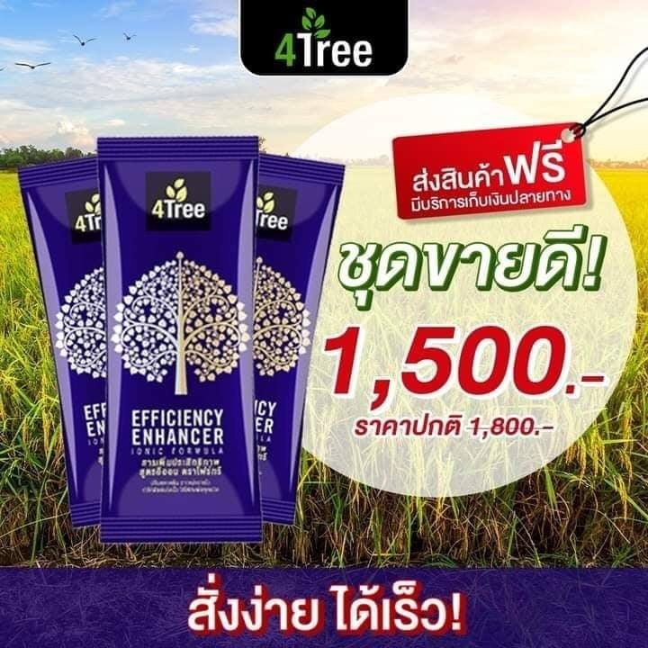 4Tree 3 ซอง