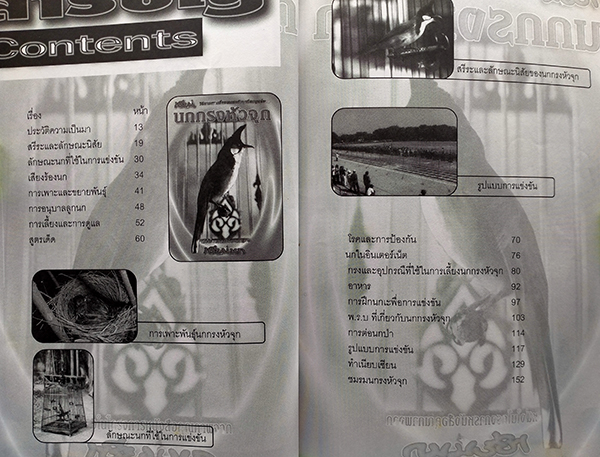 นกกรงหัวจุก