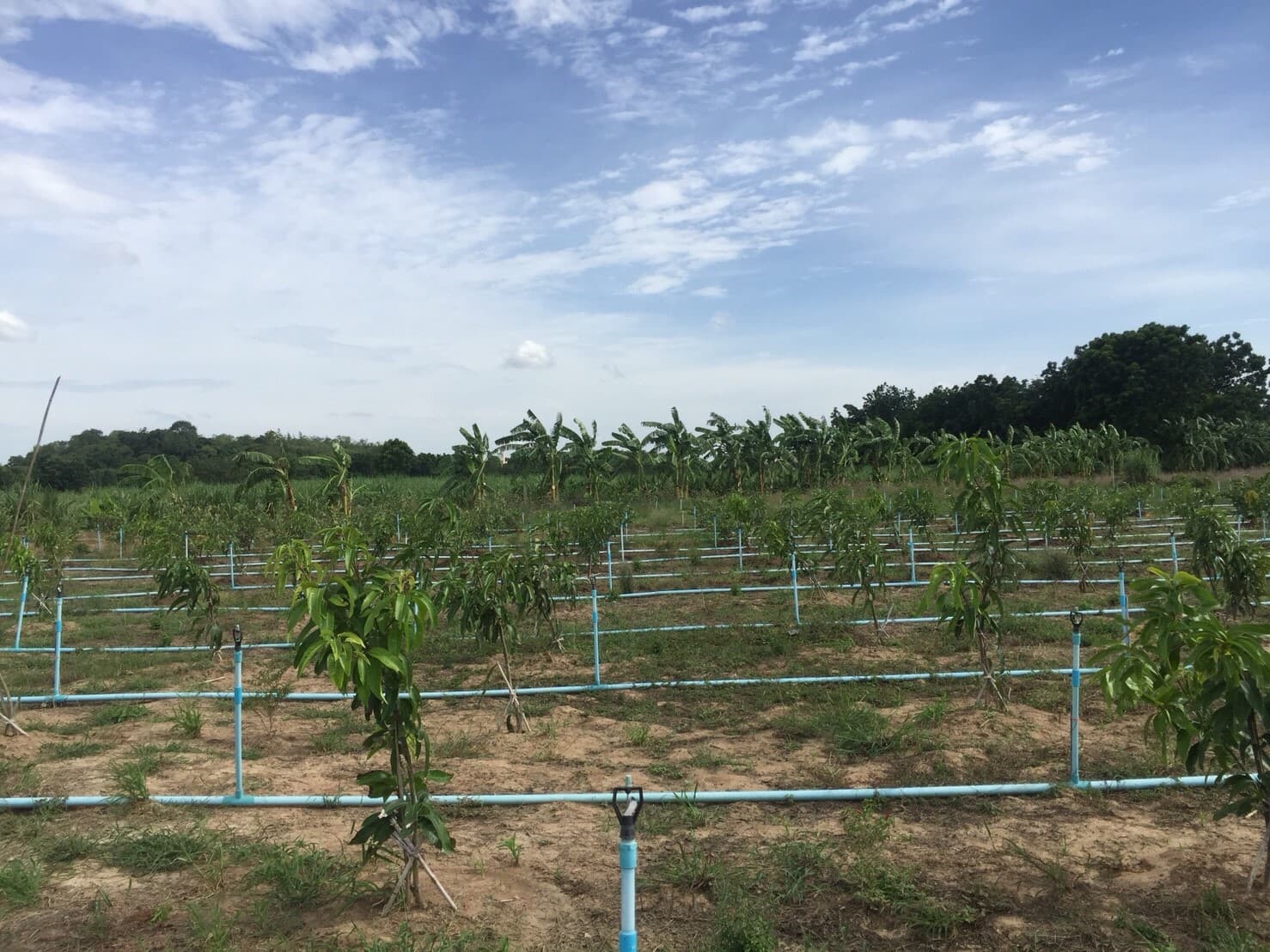 ขายบ้านพร้อมที่ดินราคาถูกติดถนนใหญ่หมายเลข (3468) ห่างจาก อบต.บ้านโข้ง 876 เมตร