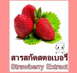 STRAWBERRY EXTRACT สารสกัดสตอเบอรี่