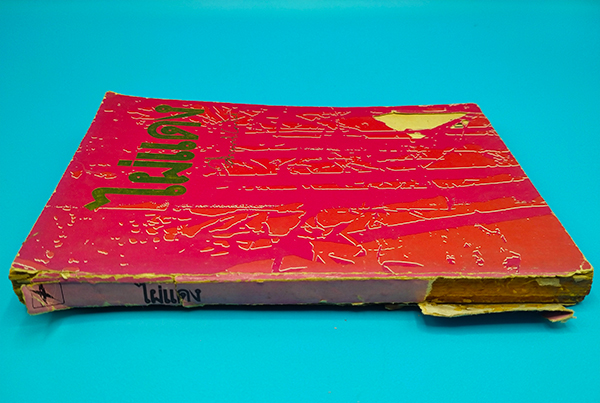 ไผ่แดง (ตำหนิ)