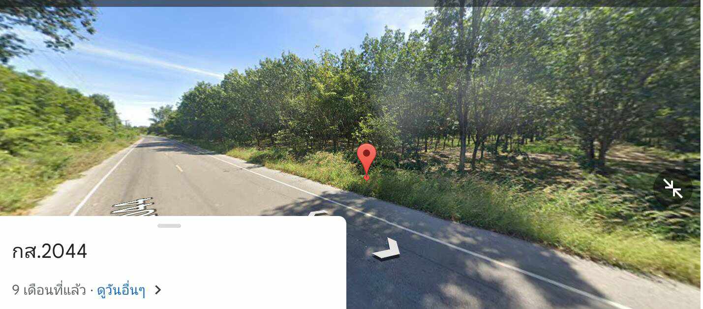 ขายที่ดินสวนยางพาราราคาถูกติดถนนลาดยางใกล้โรงเรียนเชียงเครือวิทยาคมและปตท.เมืองกาฬสินธุ์ เจ้าของขายโดยตรงทำเลดีบรรยากาศดีไฟฟ้าเข้าถึง