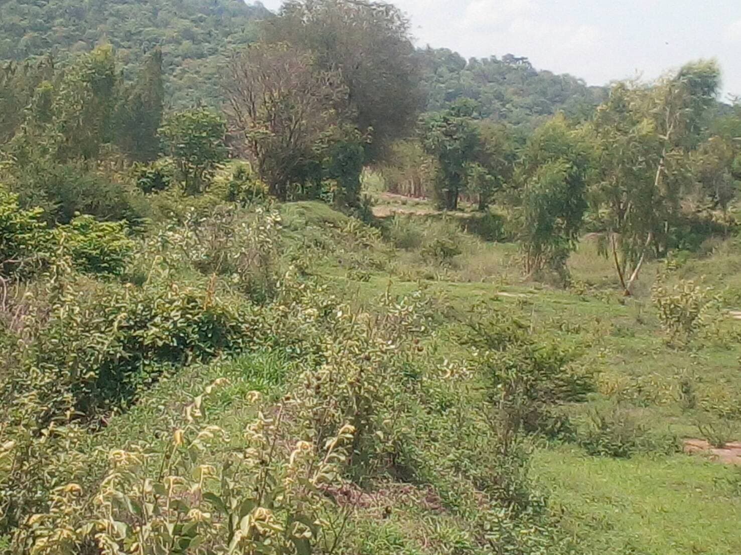 ขายที่ดินสวยราคาถูก อ.บ้านโป่ง จ.ราชบุรี 16 ไร่ 2 งาน 8 ตรวม.