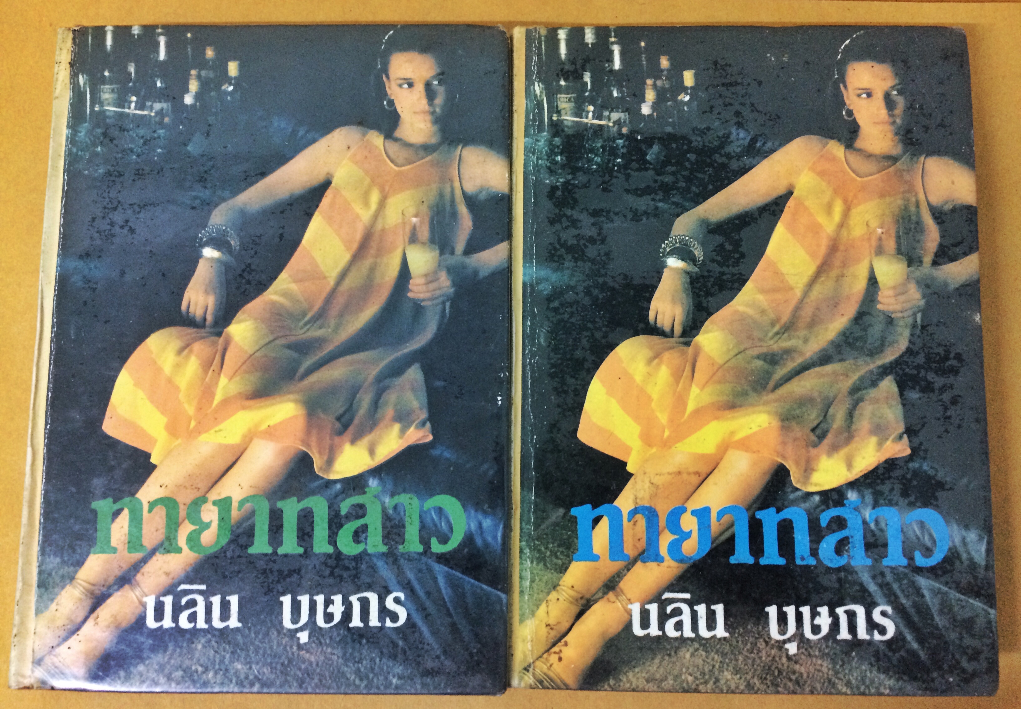 ทายาทสาว (1-2เล่มจบ)