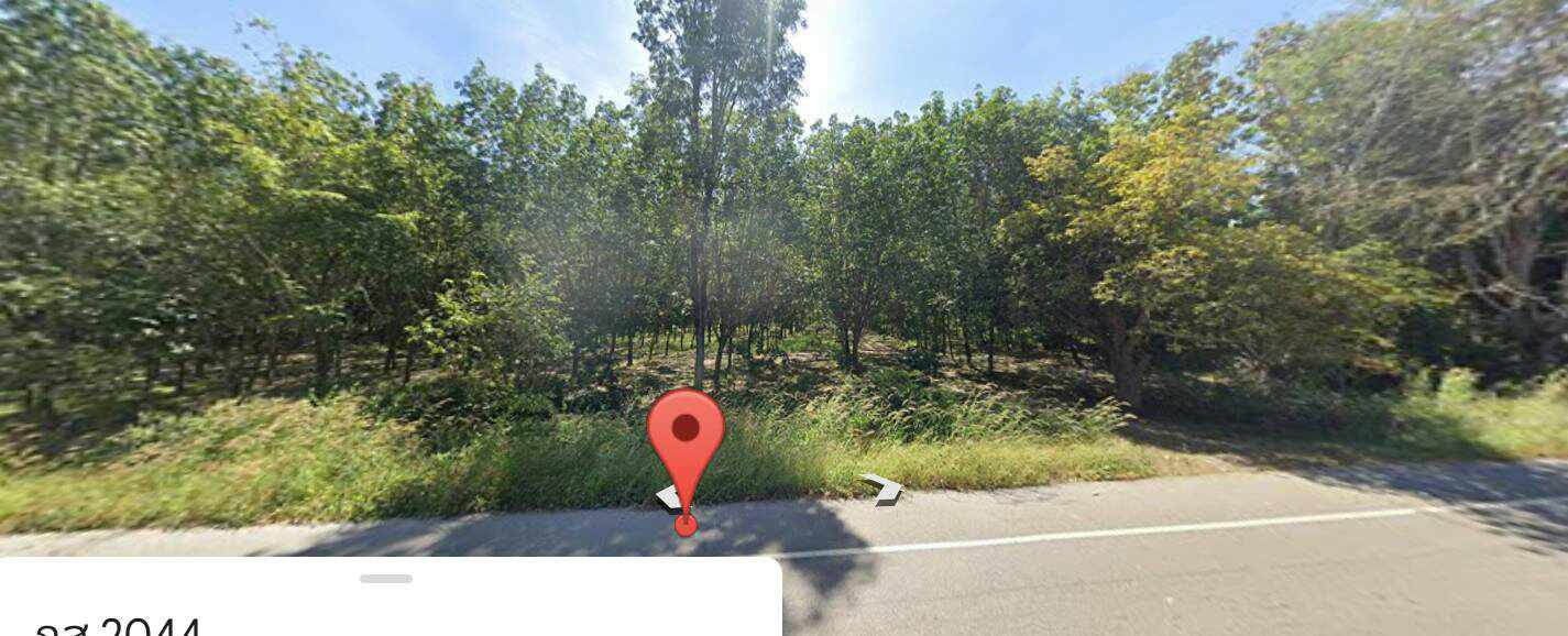 ขายที่ดินสวนยางพาราราคาถูกติดถนนลาดยางใกล้โรงเรียนเชียงเครือวิทยาคมและปตท.เมืองกาฬสินธุ์ เจ้าของขายโดยตรงทำเลดีบรรยากาศดีไฟฟ้าเข้าถึง