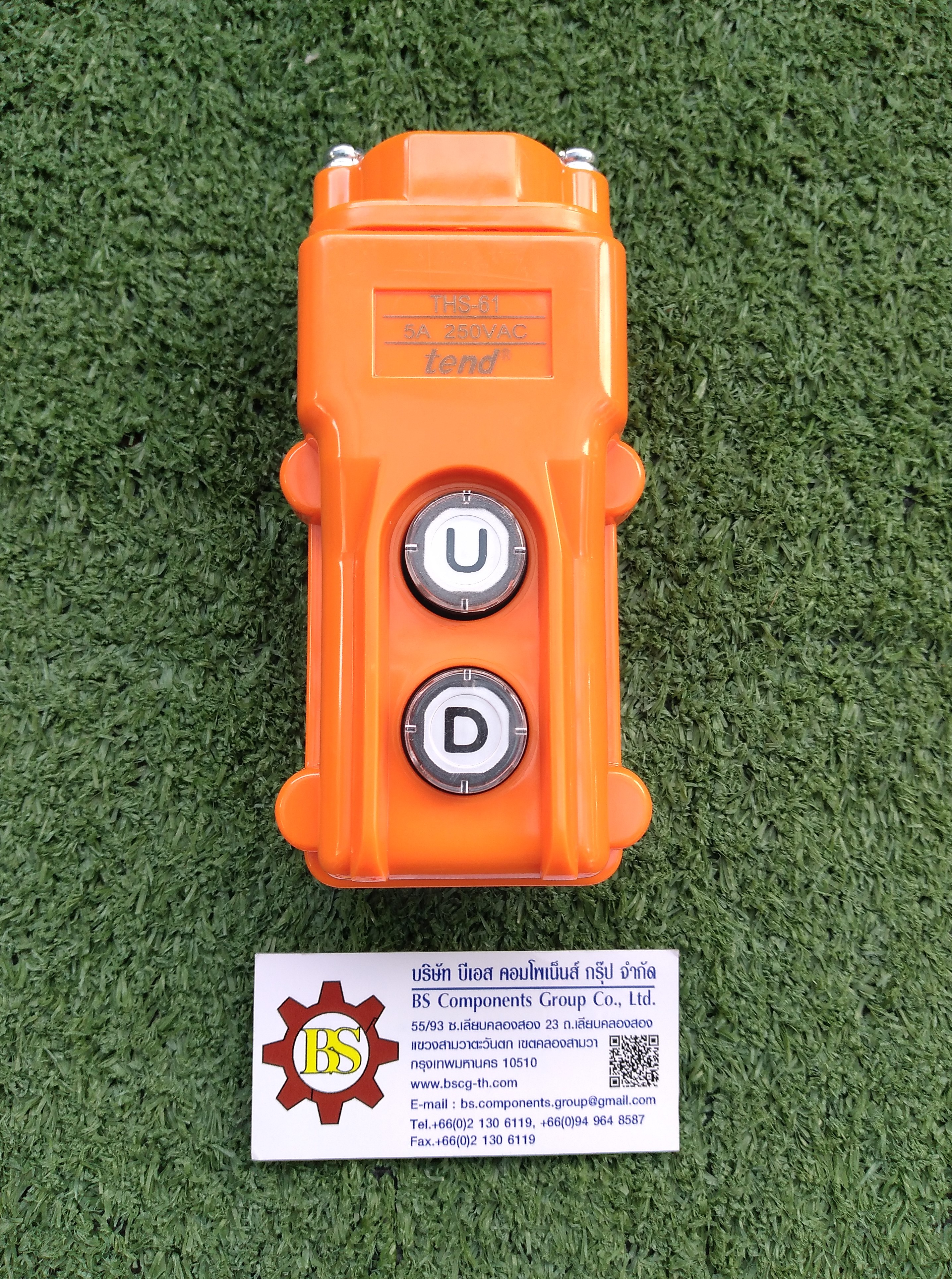 TEND : Hoist 2 push botton switch Model: THS-61