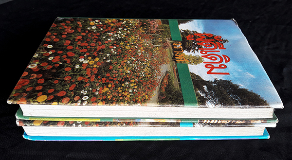 ผู้ดีเดิม เล่ม 1-2 (จบ)