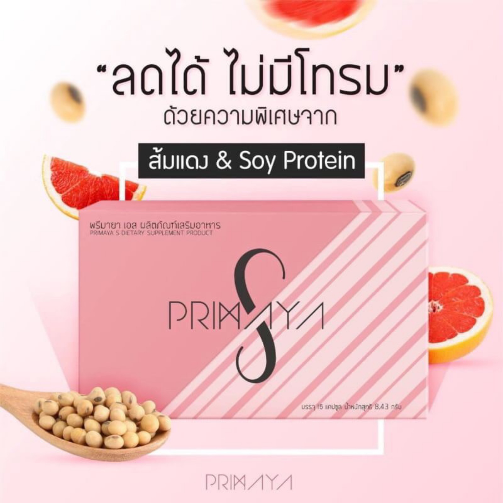พรีมายา ราคาส่ง 