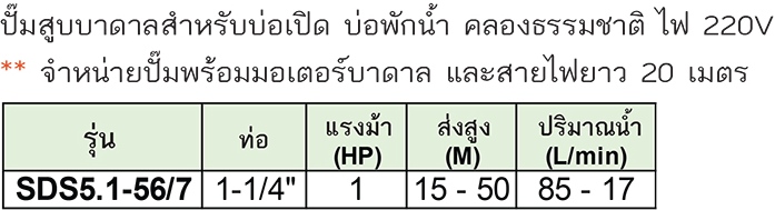 Stream ปั๊มสูบน้ำบาดาลสำหรับบ่อเปิด รุ่น SDS5.1-56/7