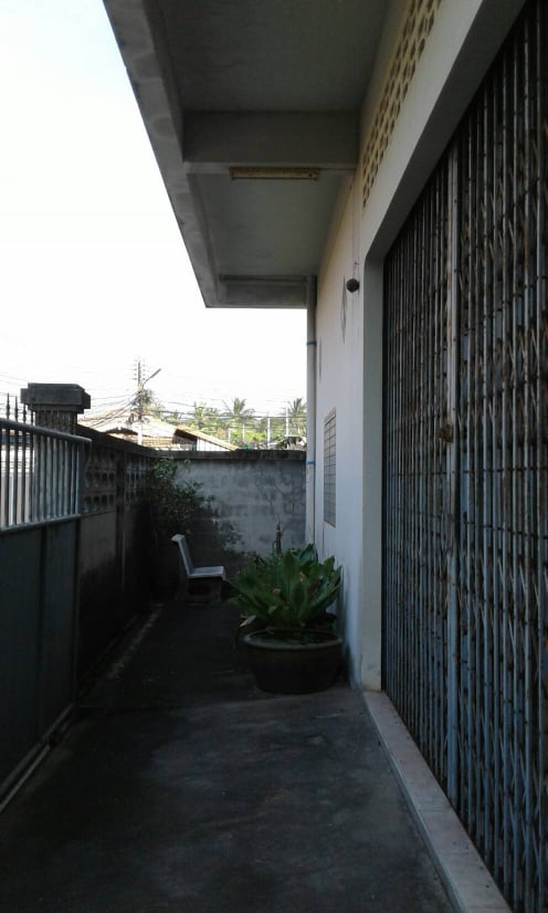 ขายบ้านรังนก พร้อมที่ดิน มีบ้านสำหรับพักได้ด้านล่าง มีนกแล้วประมาณ 350-400 ตัว