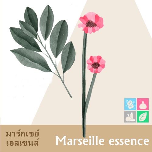 Marseille essence น้ำมันหอม มาร์กเซย์ เอสเซนส์ Floral Amber Powdery กลิ่นหอมของดอกไม้และกลิ่นอำพันสุดเย้ายวนใจ ละลายในแอกอฮอล์และน้ำมัน - ไม่เร่งเทรซ COA