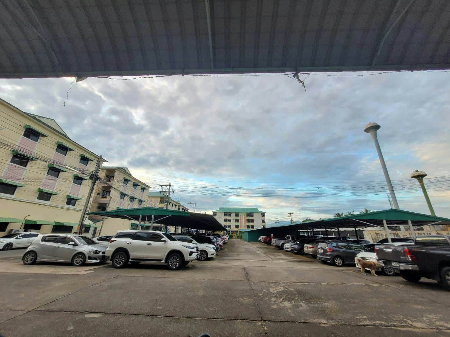 ขายหอพักใกล้มหาวิทยาลัยนเรศวร 300 เมตร อำเภอเมืองพิษณุโลก 4 คูหา 4 ชั้น 28 ห้อง บริการห้องพักรายเดือนเหมาะสำหรับผู้กำลังมองหาธุรกิจด้านอสังหาริมทรัพย์