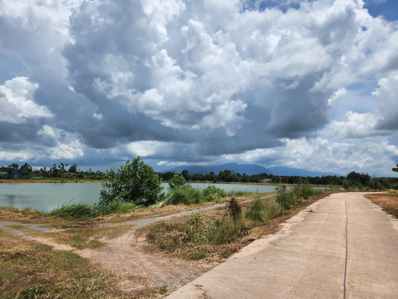 ขายสวนผลไม้ เงาะ มังคุด ทุเรียน ลองกอง ราคาถูก พร้อมบ้านพัก นํ้าไฟเข้าถึง ทางเข้าออกสะดวกสบายบรรยากาศดีเจ้าของขายเอง อำเภอมะขาม จังหวัดจันทบุรี