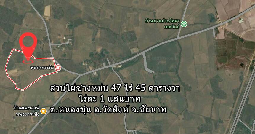 ขายสวนไผ่ซางหม่นราคาถูกเจ้าของขายเอง 47 ไร่ 45 ตารางวา ไร่ละ1.5 แสนบาท ต.หนองขุ่น อ.วัดสิงห์ จ.ชัยนาท (โฉนดครุฑแดง)