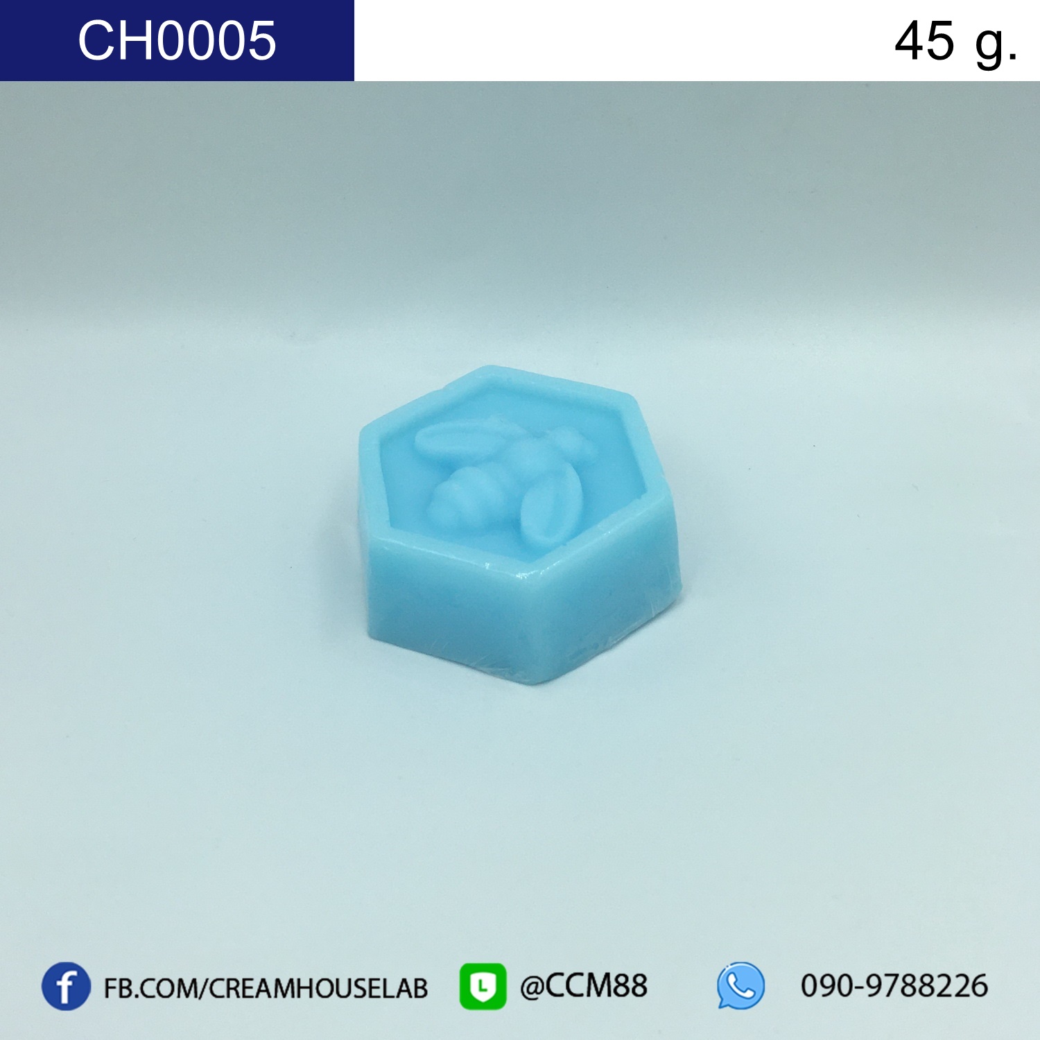 รหัส CH0005