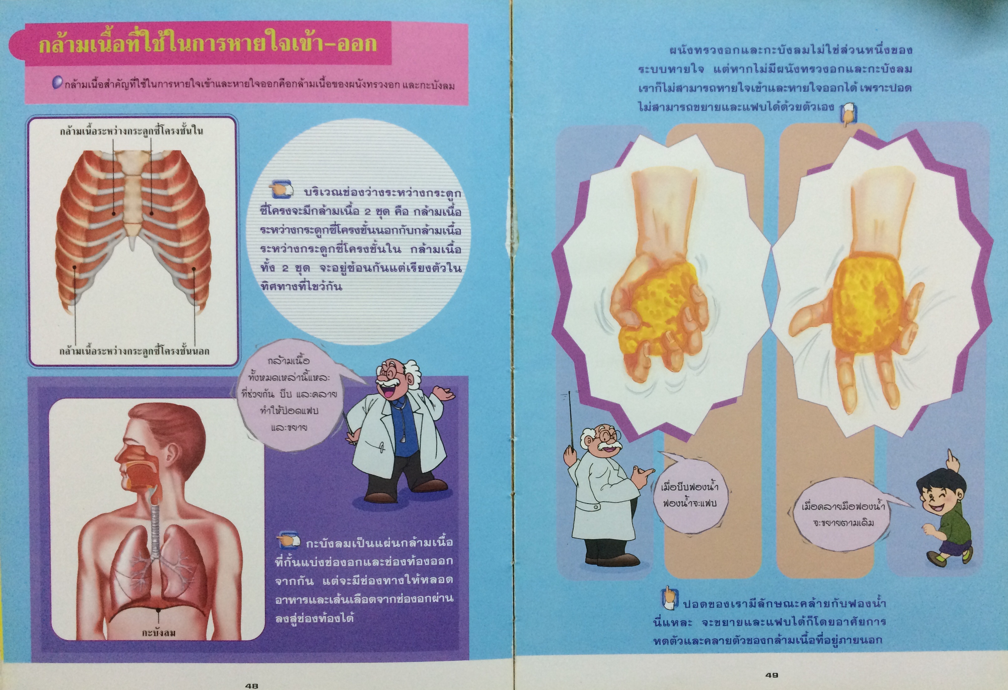 หนังสือรวมความรู้สำหรับเด็ก ชุด "ร่างกายของเรา" เล่มที่ 2 : ระบบหายใจ