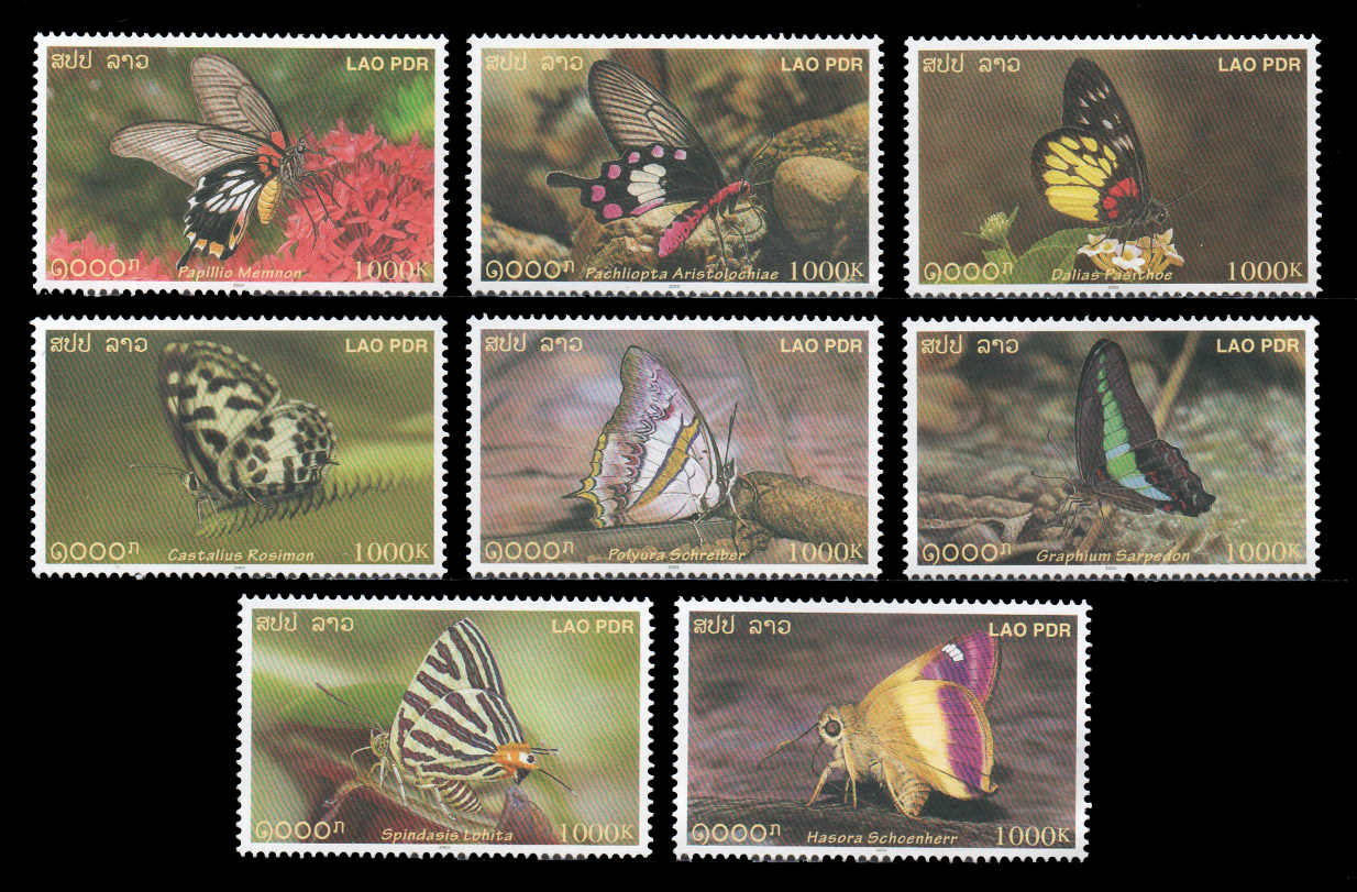 Butterflies 2003