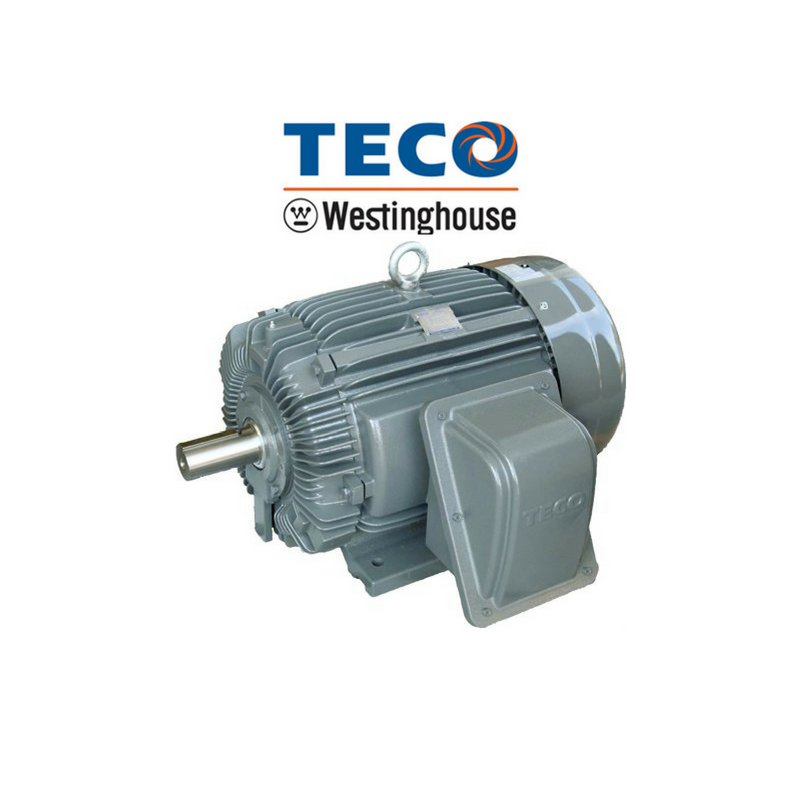 มอเตอร์ TECO