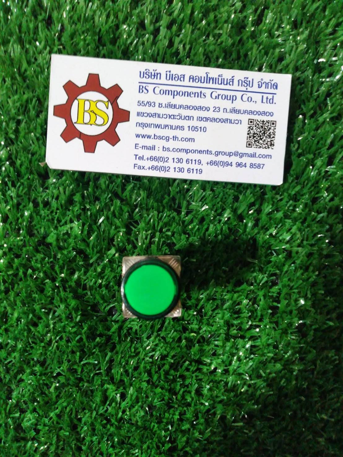 SHINOHAWA : สวิสท์ปุมกดกลม มีแลมป์ สีเขียว 16mm.1NO+1NC 24VDC