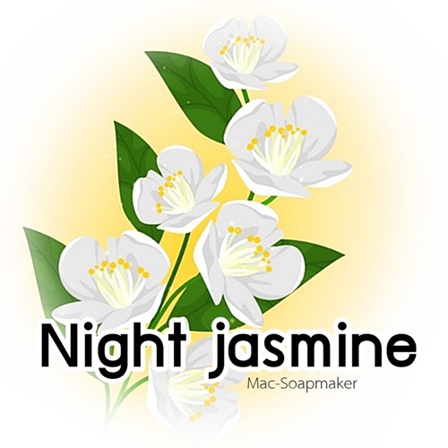 NIGHT JASMINE หัวน้ำหอม ไนท์จัสมินท์ /fruity floral note ละลายในแอกอฮอล์