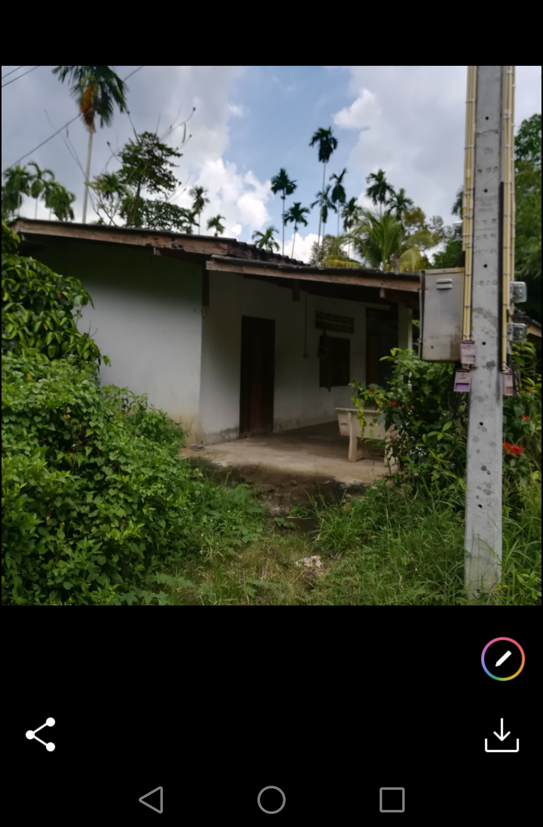 ขายที่ดินราคาถูกพร้อมสวนผลไม้สำเร็จรูป อ.บ้านค่าย จ.ระยอง7ไร่1งาน61ตรว.