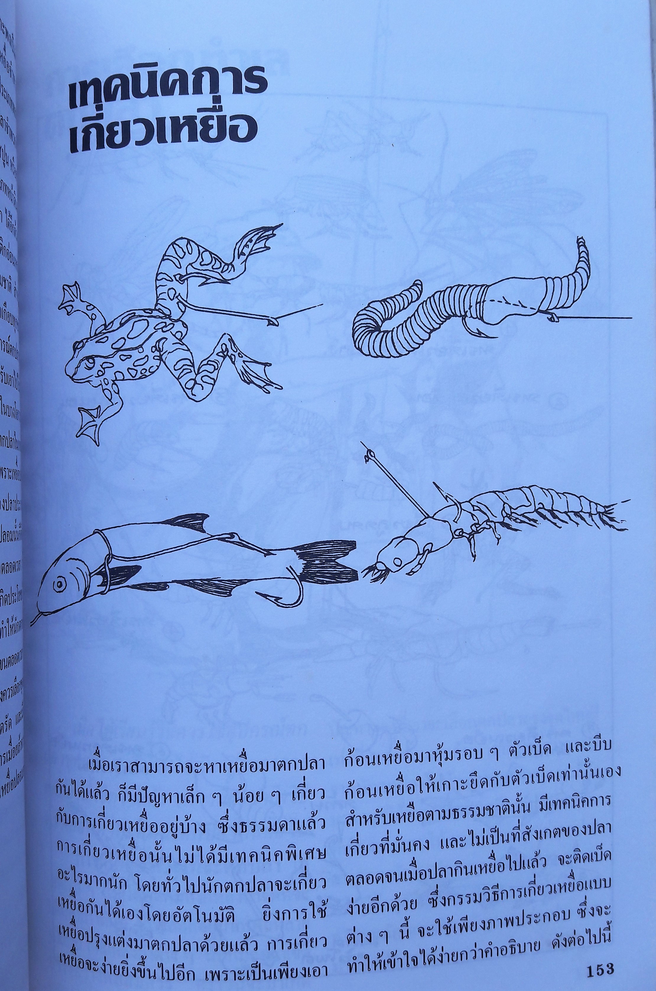 เทคนิคตกปลาน้ำจืด