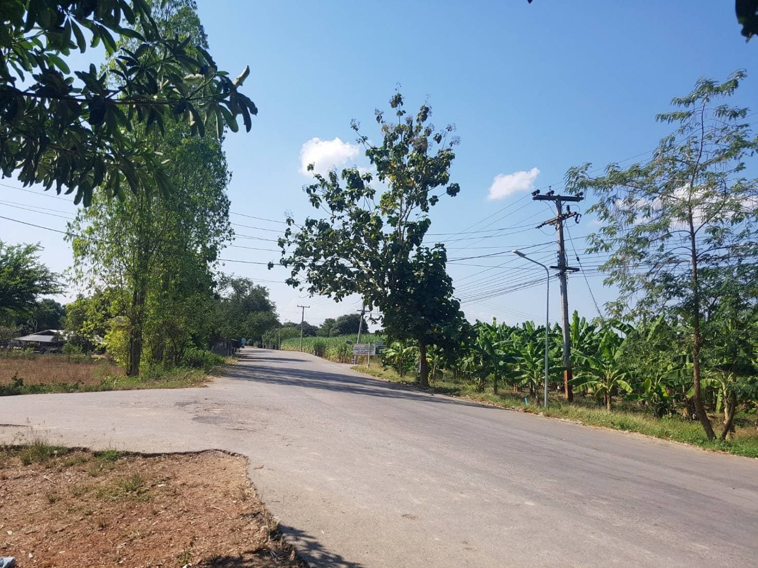 ขายที่ดินสวยพร้อมบ้านร้านขายของติดถนนหลวงด้านหลังเป็นสวนผลไม้พื้นที่กว้างขวางพร้อมสำหรับทุกคนในครอบครัวใกล้รร.บ้านเกาะสำโรง 800 เมตร อ.เมืองกาญจนบุรี