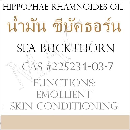 SEA BUCKTHON ซีบัคธอร์น