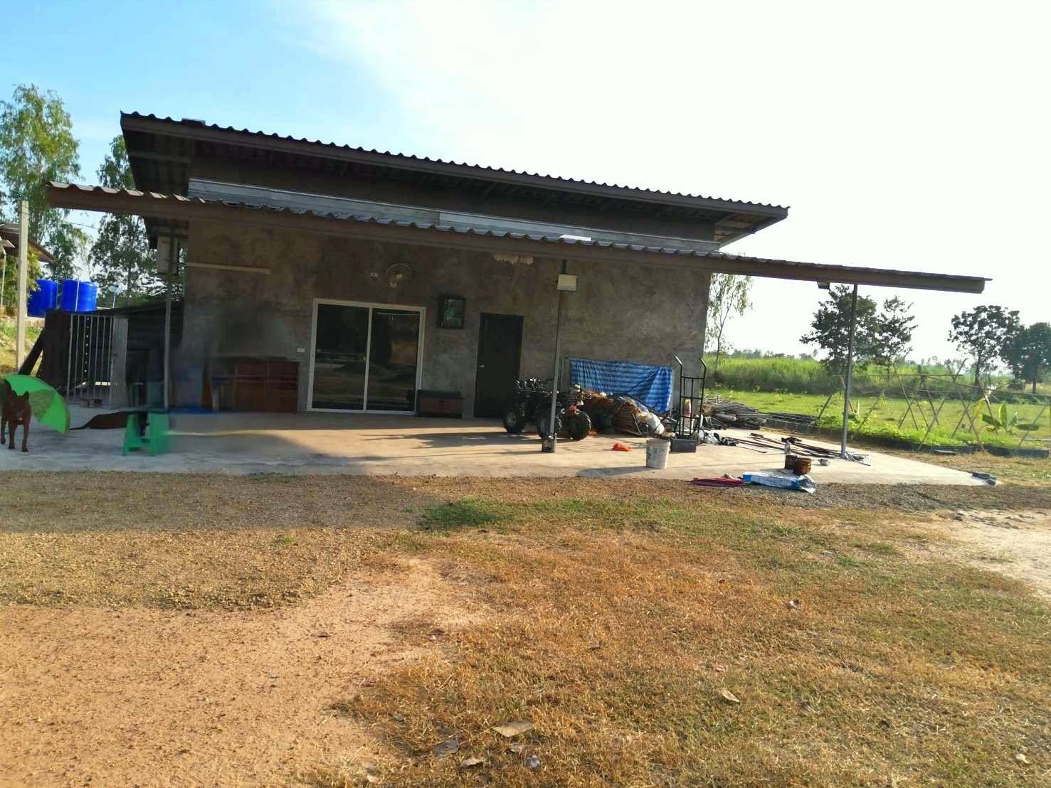 ขายสวนไผ่ซางหม่นราคาถูกเจ้าของขายเอง 47 ไร่ 45 ตารางวา ไร่ละ1.5 แสนบาท ต.หนองขุ่น อ.วัดสิงห์ จ.ชัยนาท (โฉนดครุฑแดง)