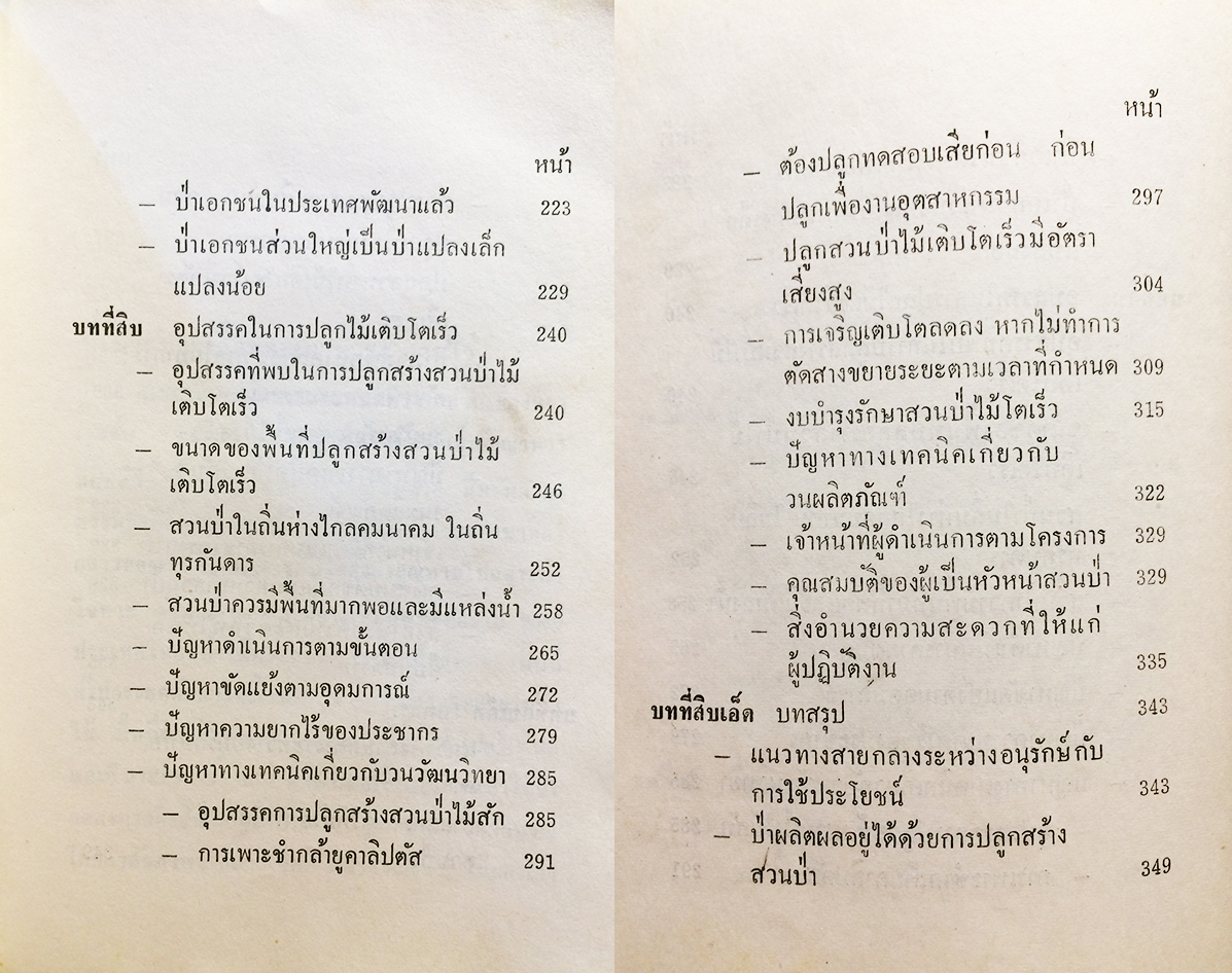 อาชีพปลูกสร้างสวนป่า