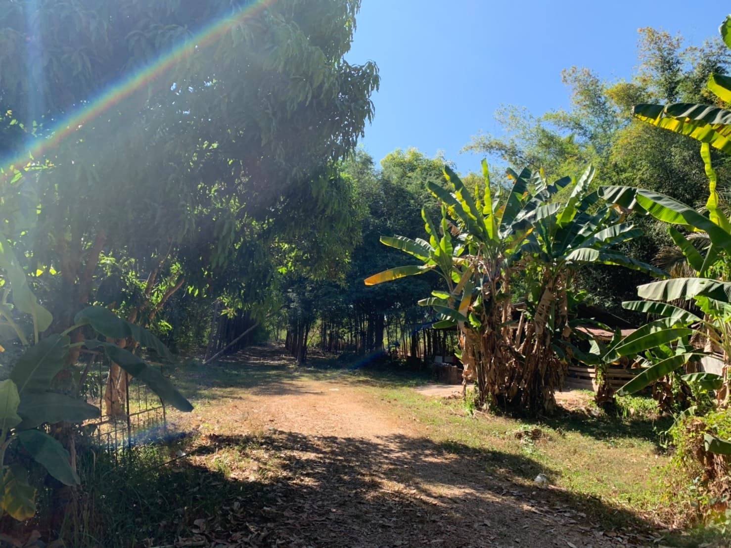 ขายที่อำเภอรัตนวาปี (เจ้าของขายเอง) ไม่มีนายหน้า !!!