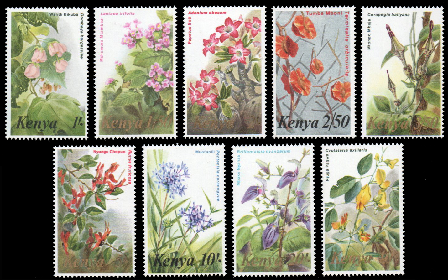 Flowers
