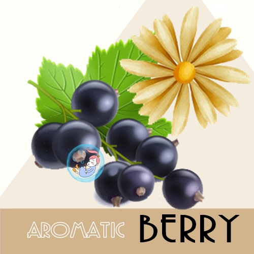Aromatic Berry / หัวน้ำหอม เบอรีป่า และ ดอกไม้ Fruity Floral Wram Spicy หอมหวาน อบอุ่น ละลายในแอกอฮอล์