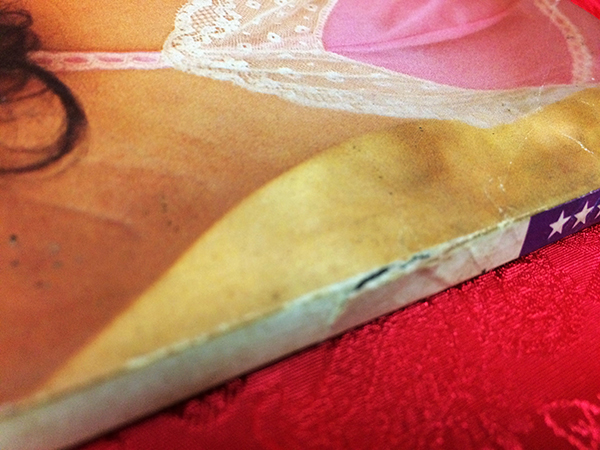 หนุ่มสาว ฉบับมินิ เล่มที่ 14