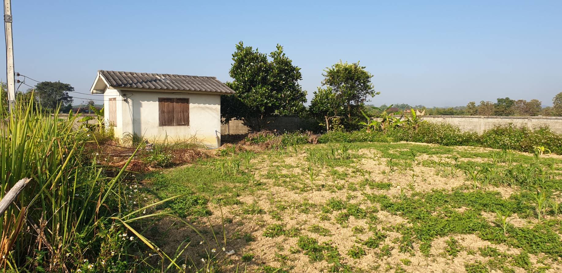 ขายที่ดินสวยราคาถูกห่างจากโรงเรียนอนุบาลเชียงคำ 388 เมตร ใกล้โลตัเชียงคำ 1.74 กม.