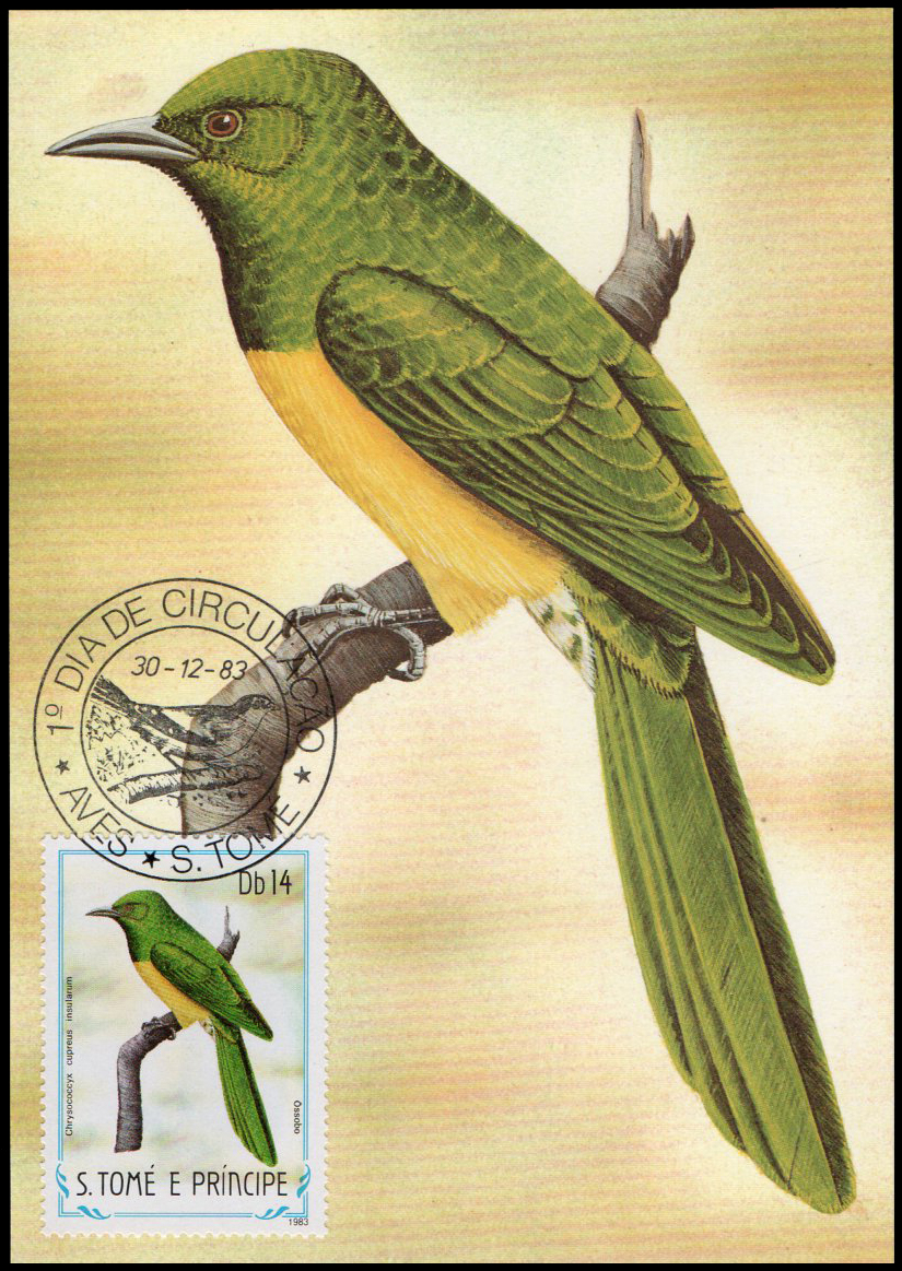Post Cards S.Tome E Principe Bird 1983