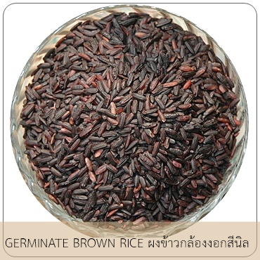 GERMINATE BROWN RICE ผงข้าวกล้องงอก สีนิล(บดหยาบ)