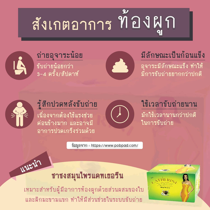 Catherine Herbal x 32 ซอง ยาชงสมุนไพร กลิ่นเก๊กฮวย