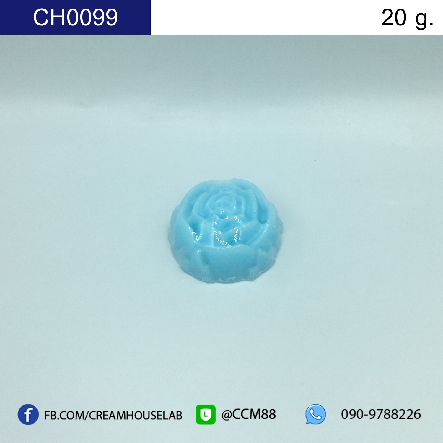 รหัส CH0099